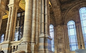 Una galería cerrada desde la Segunda Guerra Mundial reabrirá en el Museo de Historia Natural de Londres