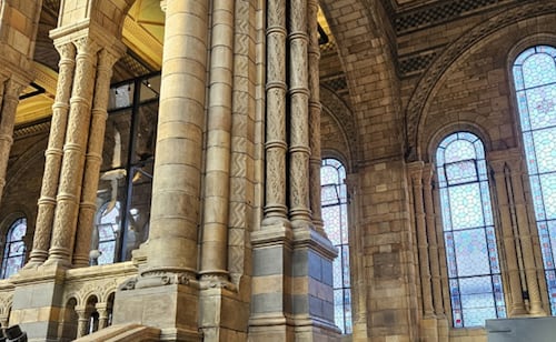 Una galería cerrada desde la Segunda Guerra Mundial reabrirá en el Museo de Historia Natural de Londres