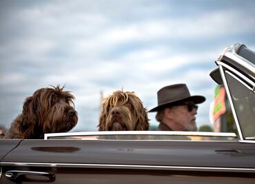 4 errores que debes evitar dentro de tu auto