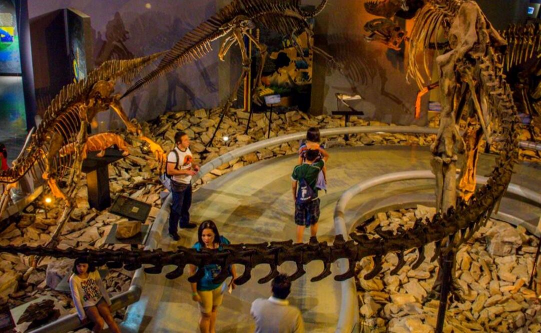 At the Museum of the Desert (MUDE)’s entrance, at the Las Maravillas Park, the dinosaur pieces were put on display along with information on their findings in the state of Coahuila - Photo: Taken from Museo del Desierto's official Facebook page