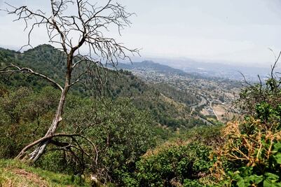 Crecen reportes de personas desaparecidas en CDMX