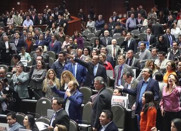 Entre empujones y manoteos, diputados debaten Ley de Ingresos