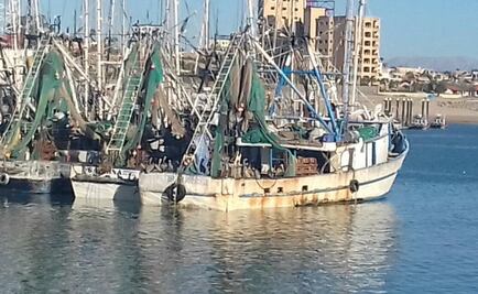 Aseguran tres embarcaciones por pesca ilegal en Golfo de California