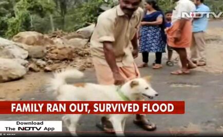Perro salva a familia de inundaciones en India