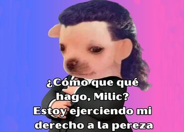 Día Internacional del Abogado: los mejores memes para celebrar la fecha hasta perder el juicio