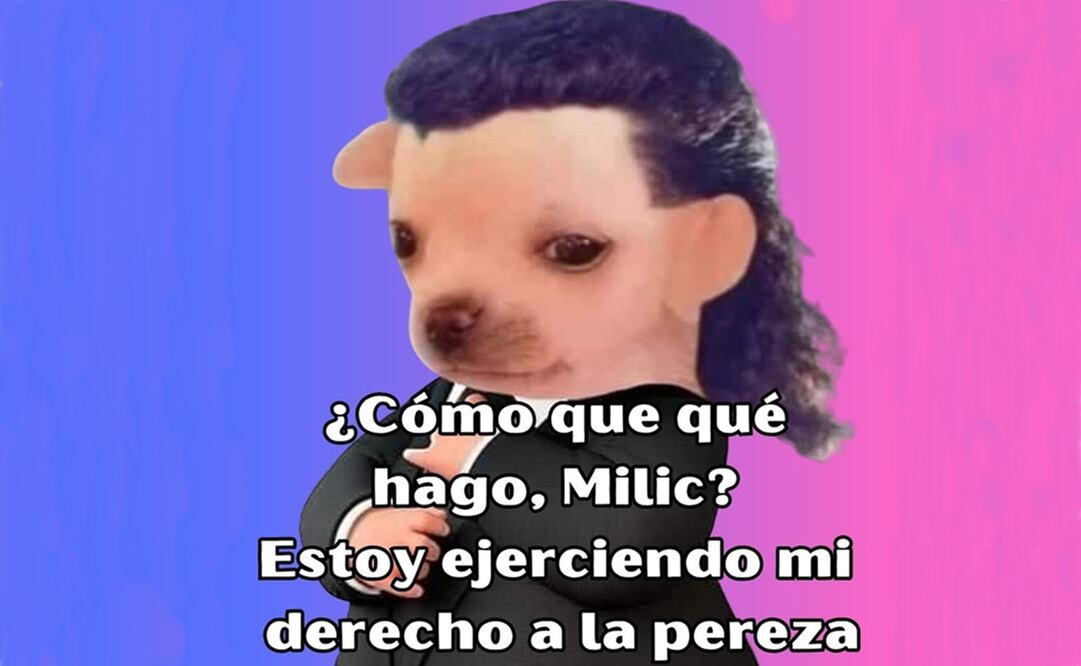 Usuarios de redes sociales compartieron los mejores memes en Twitter. Foto: Twitter