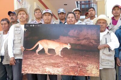 Ellos son los guardianes del puma y del jaguar