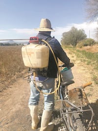 Campo de cultivo en Tlahuelilpan se tornó cementerio