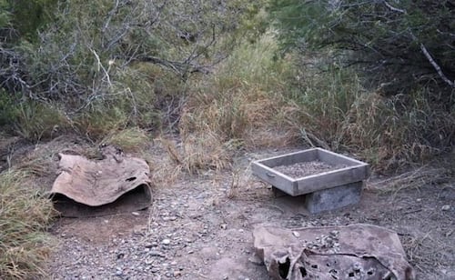 Colectivo localiza tambos con restos calcinados y una fosa clandestina; hallazgo moviliza a autoridades en Reynosa
