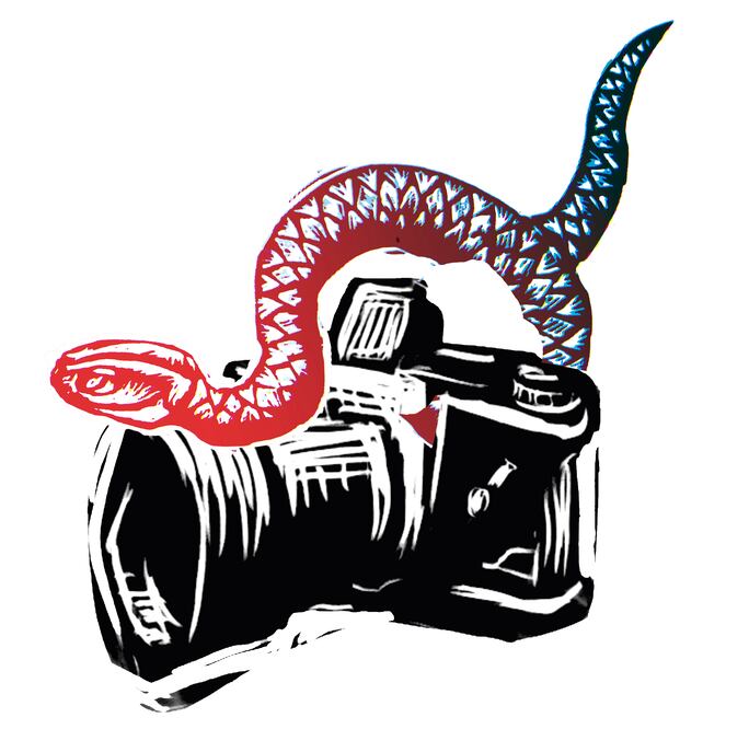 No se mata la verdad matando periodistas