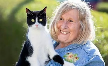 Zebby, el gato de asistencia que sirve a su dueña sorda y le ayuda a recibir el correo