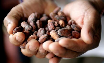 Los mayas asociaban al cacao con el inframundo