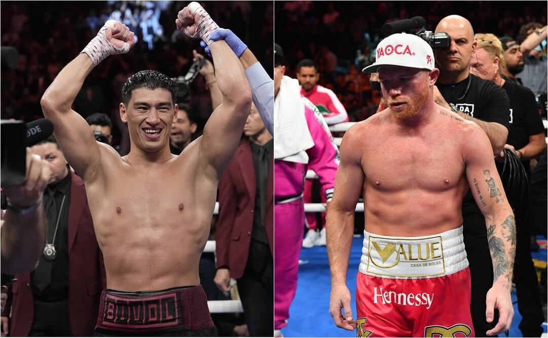¿Quiénes son los dos peleadores que le han ganado al Canelo Álvarez? / FOTO: ESPECIAL
