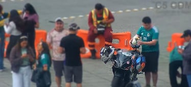 VIDEO El pato "Merlín" llega a Paseo de la Reforma para apoyar a la Selección Mexicana; porta la camiseta nacional
