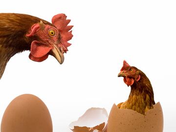 ¿Qué fue primero, el huevo o la gallina? La física cuántica tiene la respuesta