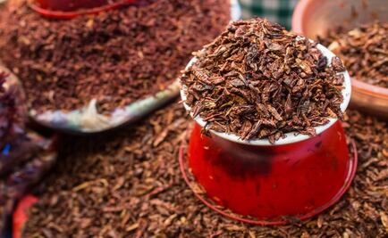 Conoce los beneficios de comer chapulines