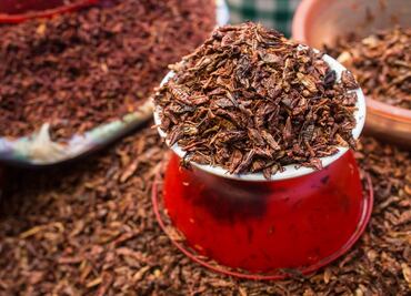 Conoce los beneficios de comer chapulines