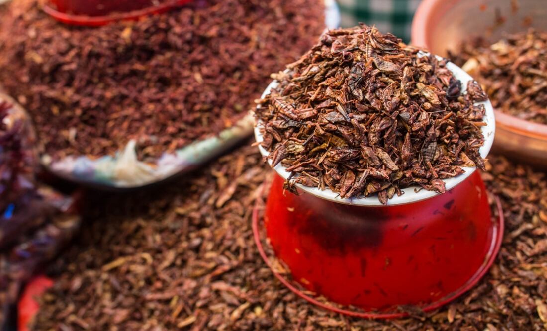 Foto: archivo El Universal