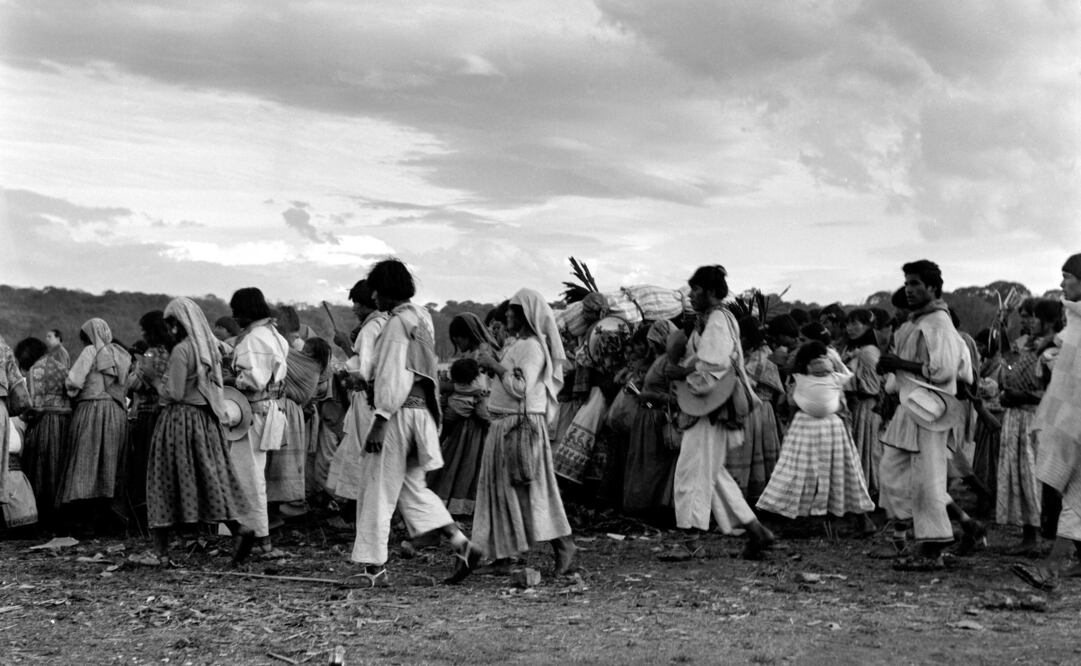 Foto: Ruth D. Lechuga, cortesía Fundación Ajaraca