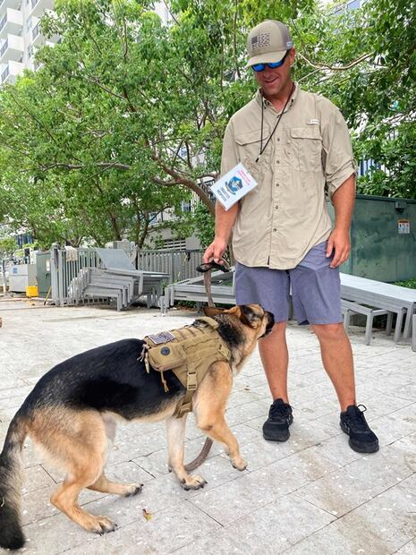 Amor puro: perros de terapia consuelan a los afectados por el derrumbe en Surfside