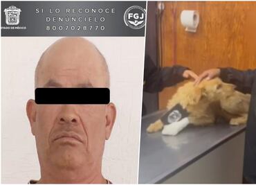 Hombre lanza explosivo contra perrito “Pelusa” en Atizapán de Zaragoza; lo detiene la FGJEM