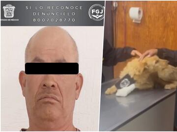 Hombre lanza explosivo contra perrito “Pelusa” en Atizapán de Zaragoza; lo detiene la FGJEM