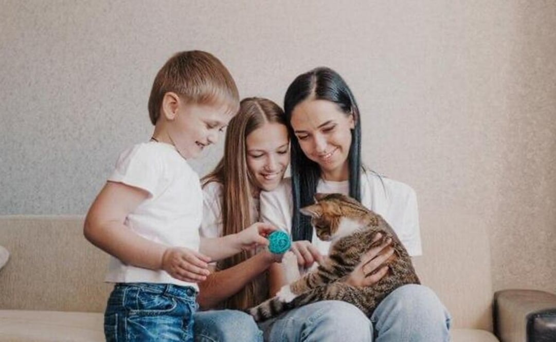 Los gatos ofrecen múltiples beneficios para la salud física y emocional de los niños. Fuente: Freepik