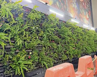 Colocan dos muros verdes en la estación Xola del STC