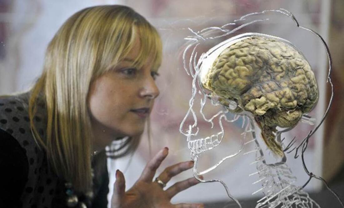 Podrían estar vinculados los genes. Foto: Archivo