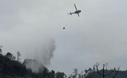 Vuelca camioneta en Nuevo León y deja 12 muertos; incidente provoca incendio forestal
