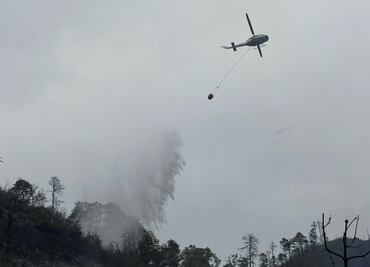 Vuelca camioneta en Nuevo León y deja 12 muertos; incidente provoca incendio forestal