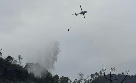 Vuelca camioneta en Nuevo León y deja 12 muertos; incidente provoca incendio forestal