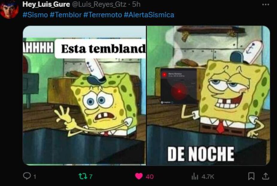 Foto: Captura de pantalla en X