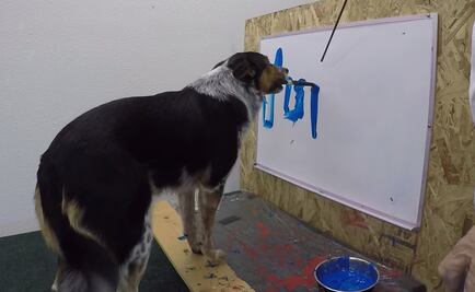 Jumpy, el perro que sabe escribir su nombre y la palabra "love"