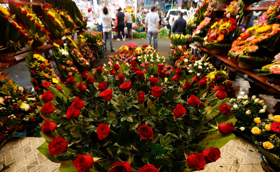 Foto: Archivo / EL UNIVERSAL