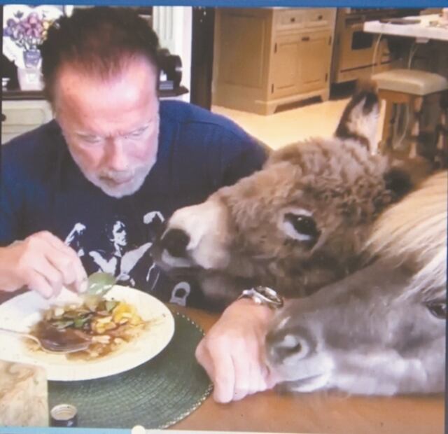 La “regaron” con sus mensajes sobre el coronavirus