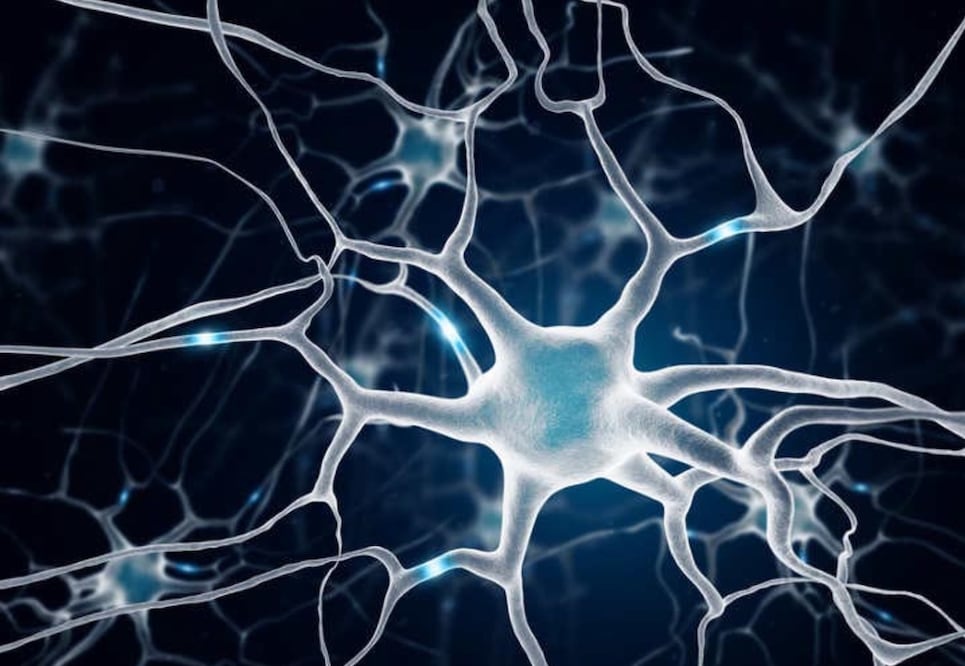 Imagen: El Universal, archivo 