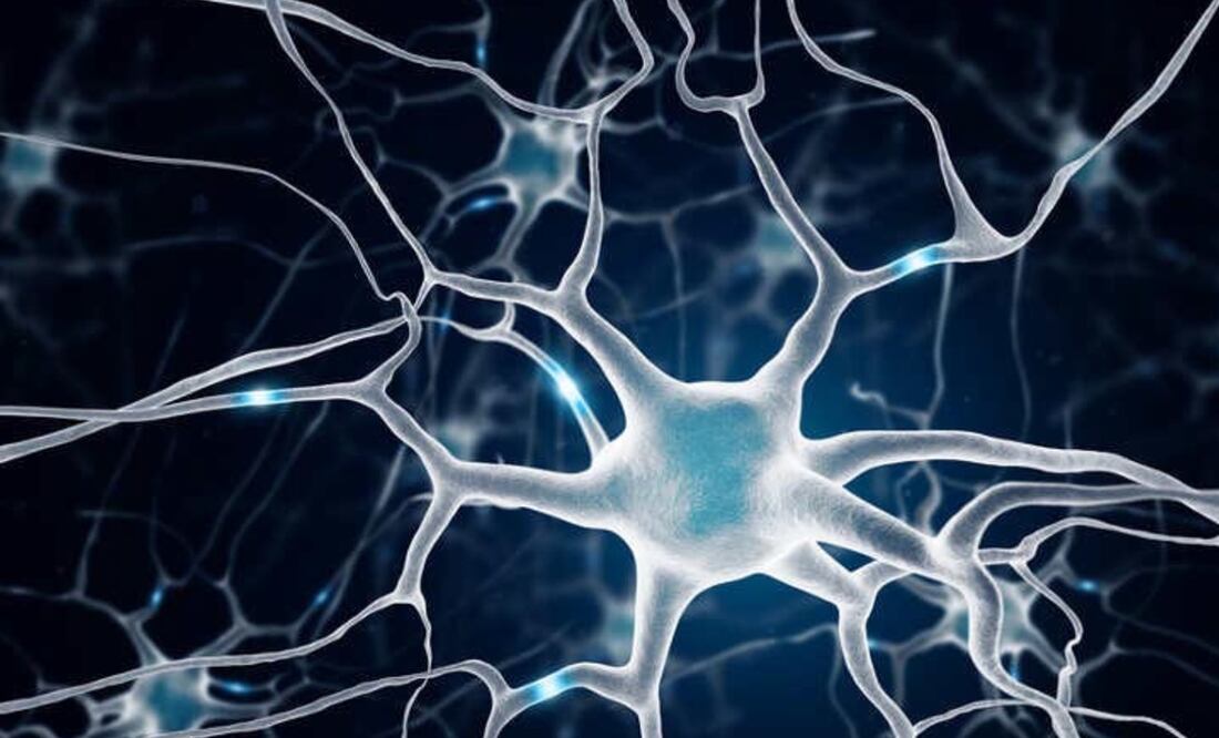 Imagen: El Universal, archivo