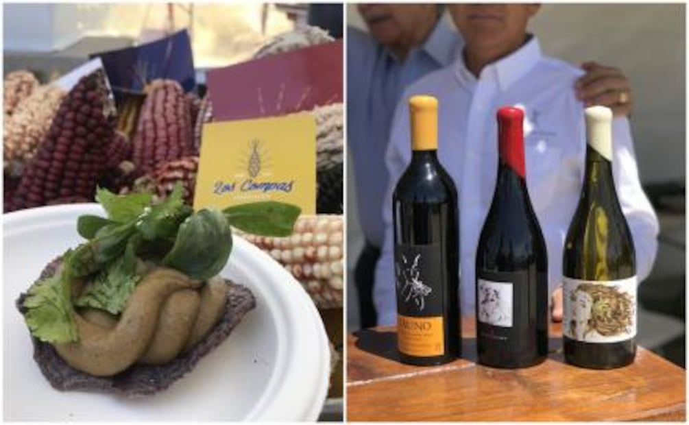 Festival de las Conchas y el Vino Nuevo, una carta de amor a Baja California