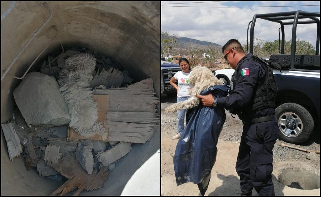 Foto: Twitter @MICHOACANSSP