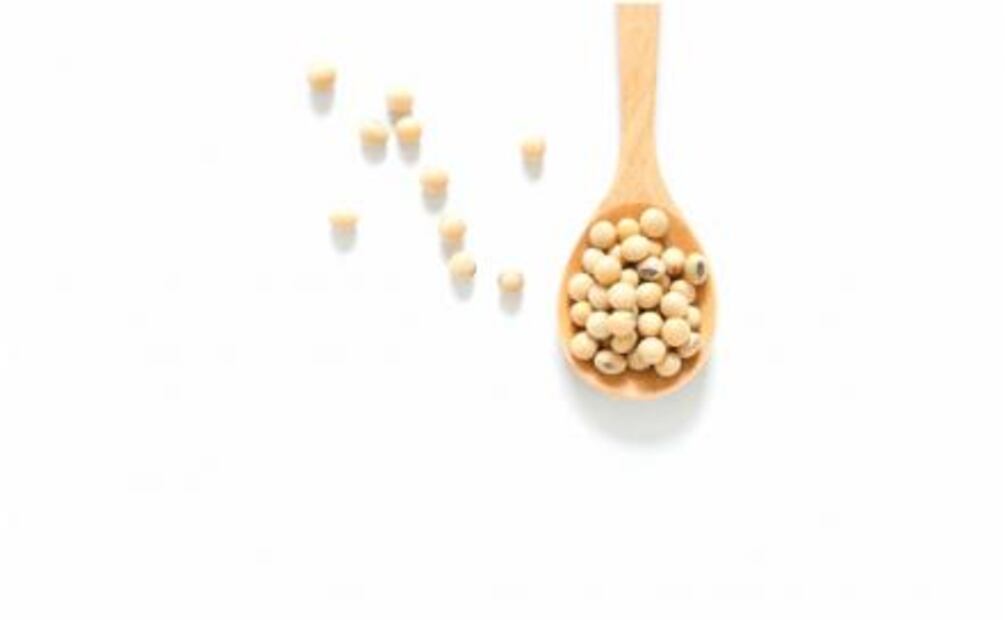 ¿Qué son los antinutrientes?