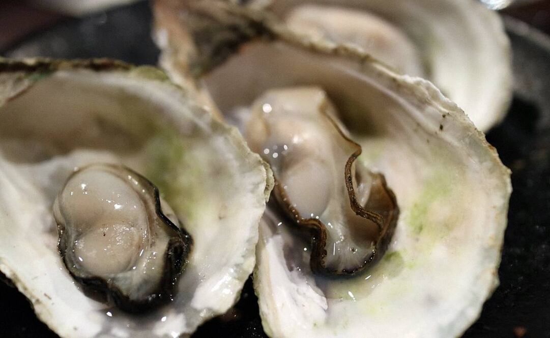 Foto ilustrativa: Pixabay