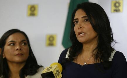 Renovará PRD dirigencia a inicios de diciembre: Barrales