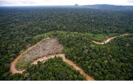 ¿La Amazonía fue alguna vez un océano?