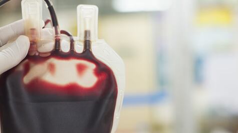 10 datos curiosos sobre la sangre que tal vez no conocías