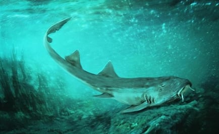 Un tiburón y un T-Rex fueron 'buenos vecinos' hace millones de años