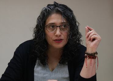 "Yo no persigo periodistas, soy defensora de la libertad de expresión"; mi caso no es como el de Héctor de Mauleón: Dora Martínez