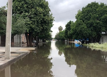 Activan declaratoria parcial de emergencia por lluvias en Torreón, Coahuila
