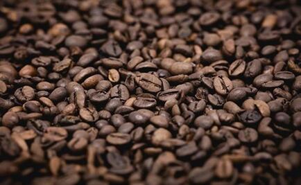 Más del 60% de variedades de café, en peligro de extinción