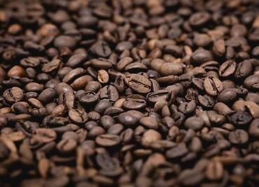 Más del 60% de variedades de café, en peligro de extinción